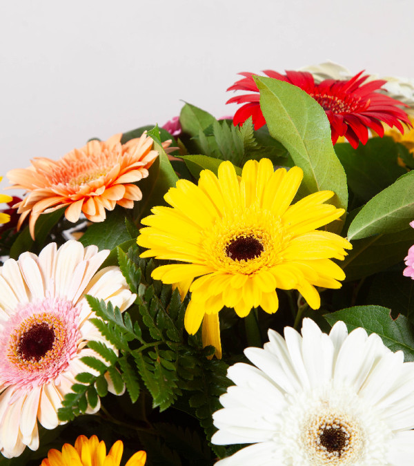 Colourful Casket Spray Colourful Casket Spray