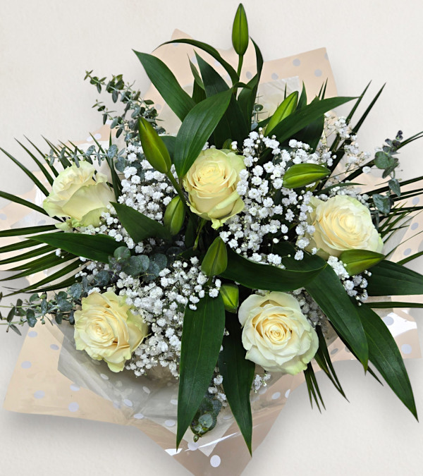 Soft & Elegant Soft & Elegant