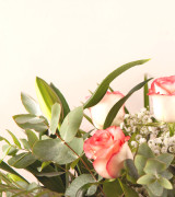 Aromatic Grace Aromatic Grace