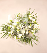 Evergreen Hope Evergreen Hope