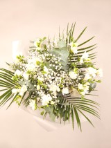 Evergreen Hope