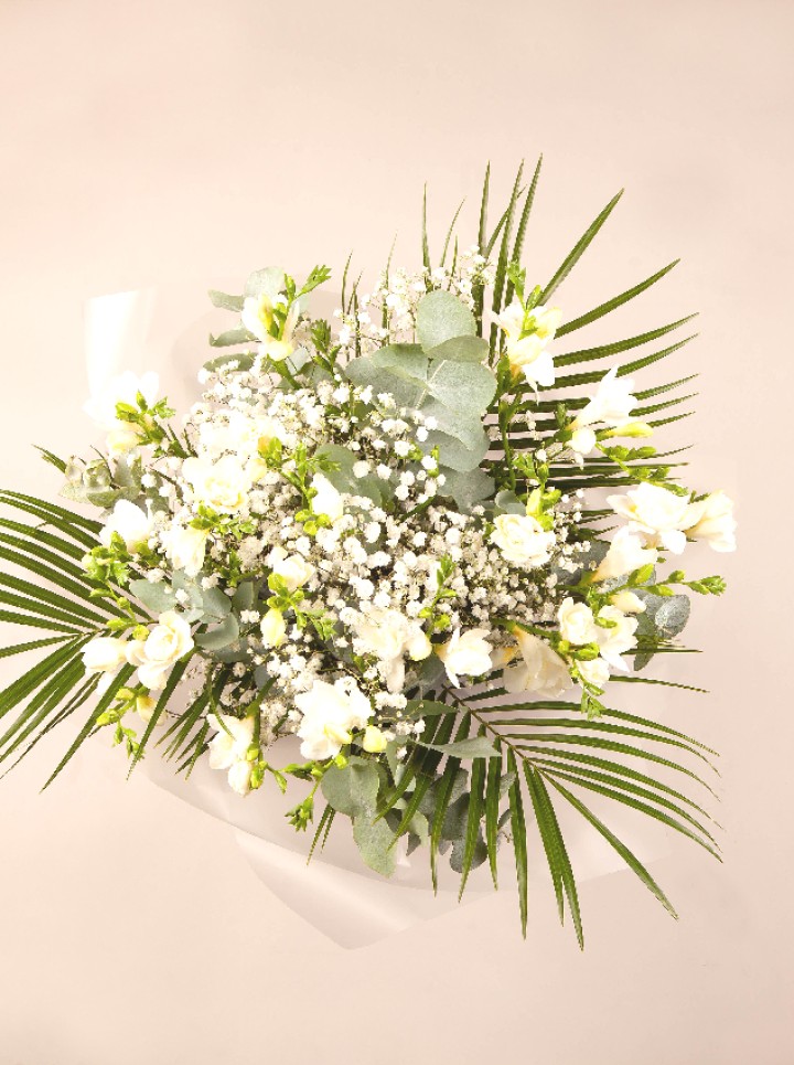 Evergreen Hope