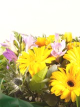 Blooming Delight