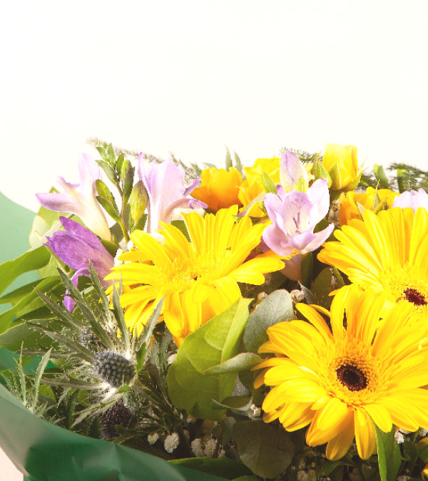 Blooming Delight Blooming Delight