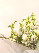 Evergreen Hope