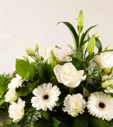 Sympathy Spray White Sympathy Spray White