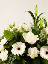 Sympathy Spray White Sympathy Spray White