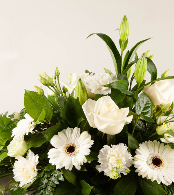Sympathy Spray White Sympathy Spray White
