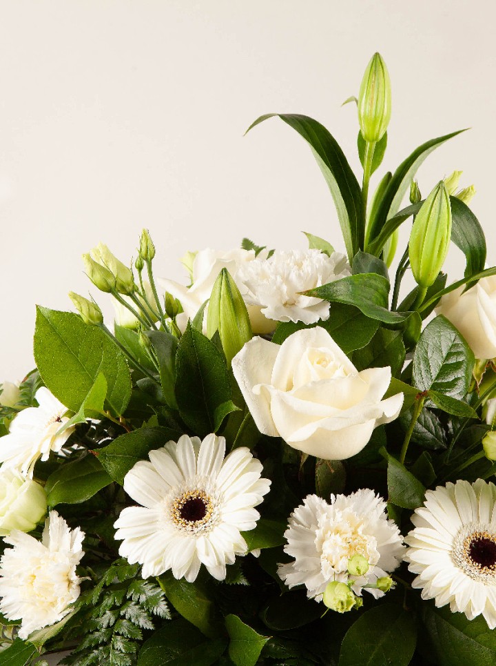 Sympathy Spray White Sympathy Spray White
