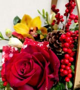 Crimson Basket Crimson Basket