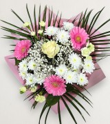 Pure & Simple Pure & Simple