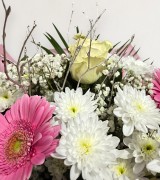 Pure & Simple Pure & Simple